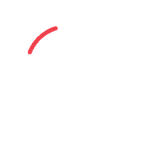 wired-outline-19-magnifier-zoom-search-hover-spin