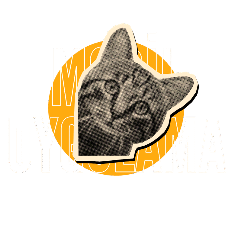 Mobil Uygulama Tasarımı