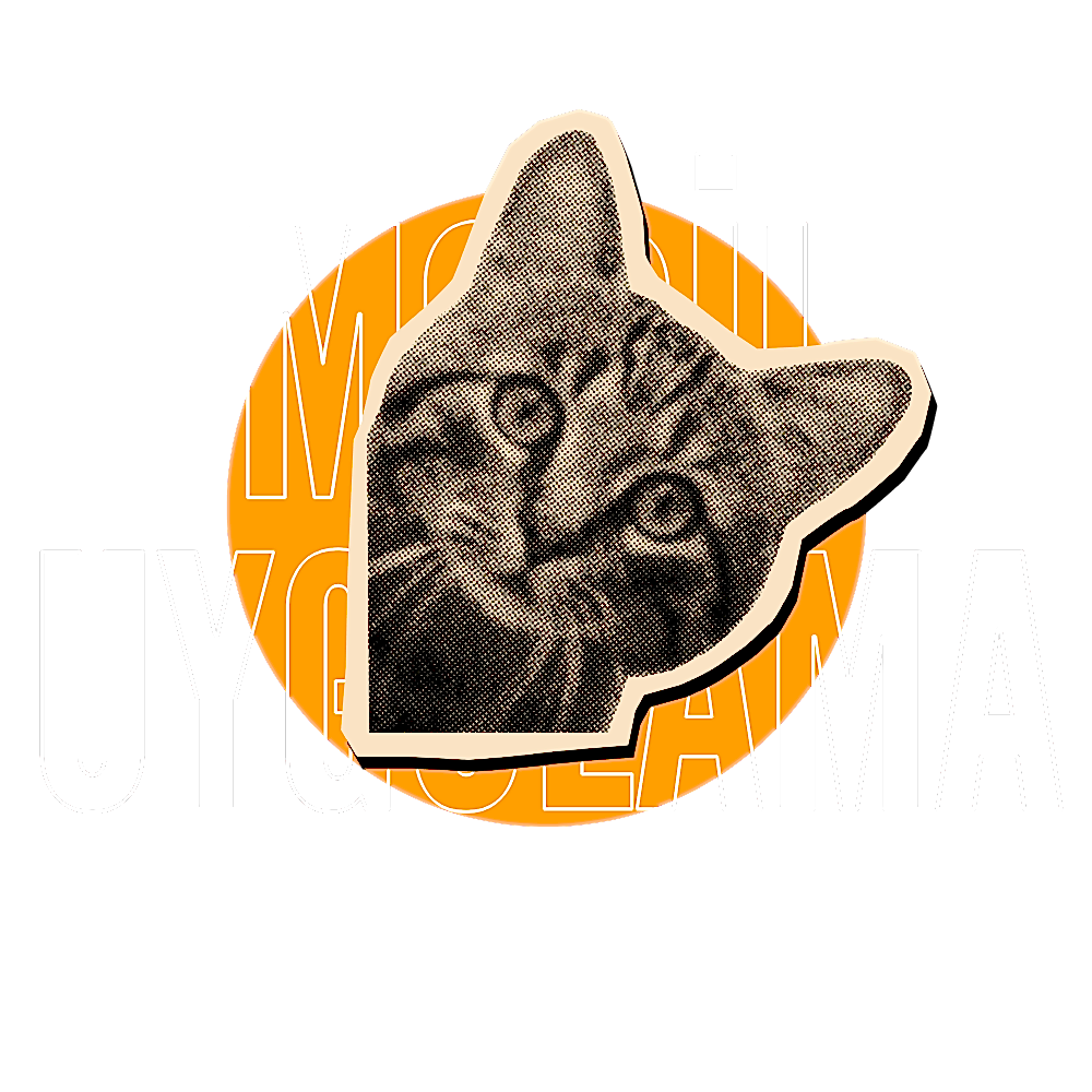 Mobil Uygulama Tasarımı