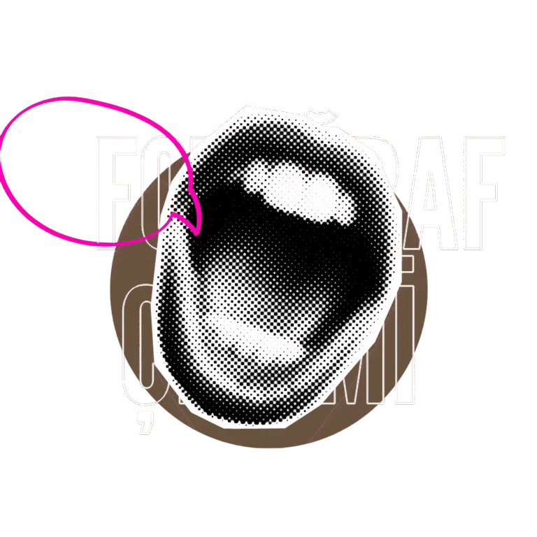 Fotoğraf Çekimi Nedir?